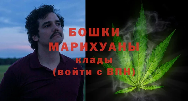шишки Гусь-Хрустальный