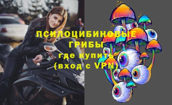 a pvp Арсеньев