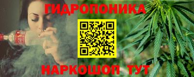 скорость Жуковский