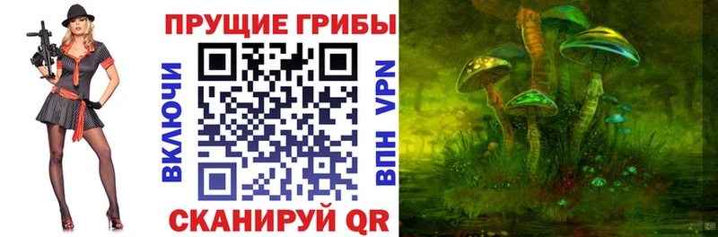 Галлюциногенные грибы мухоморы  дарк нет телеграм  Можга 