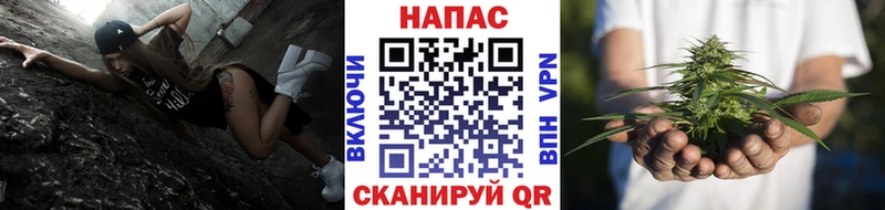Конопля MAZAR Можга