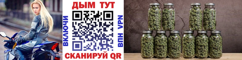 Бошки марихуана тримм  где можно купить наркотик  Можга 